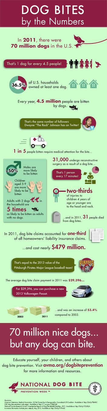infographic on dog bites
